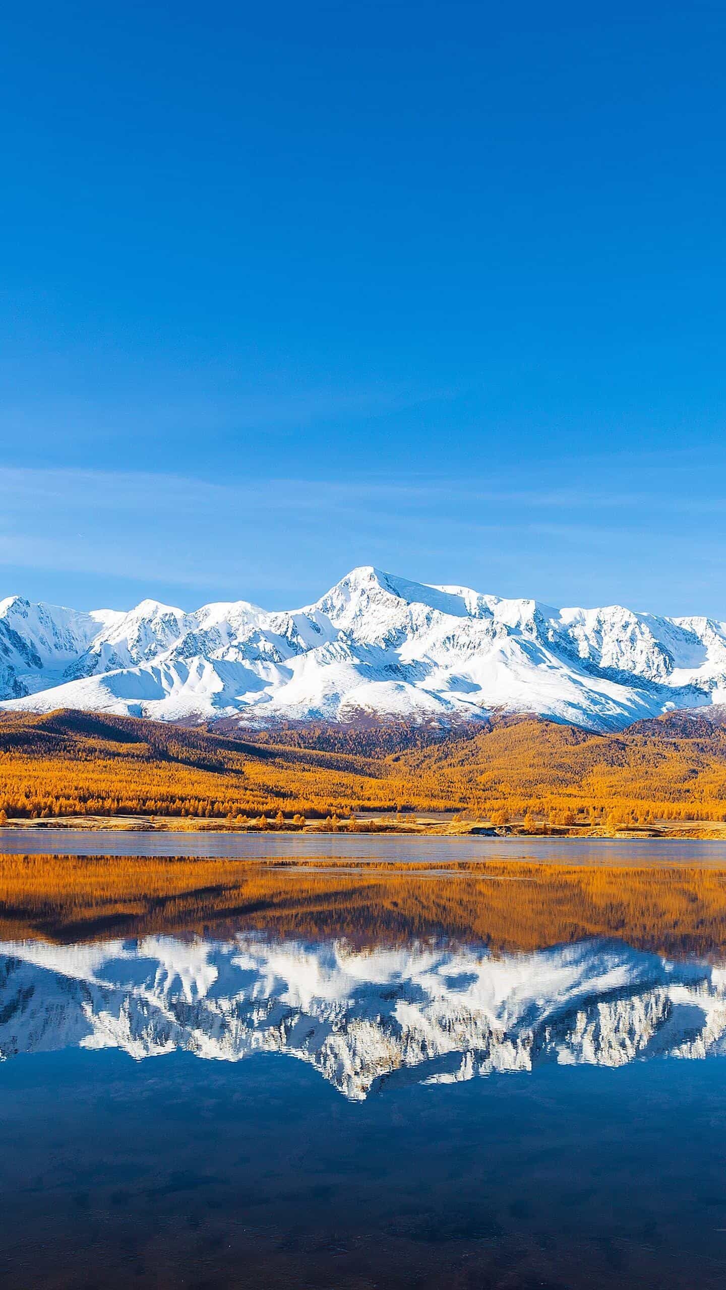  网络卡顿？这5个免费DNS服务器地址，让你的网速飞起来！